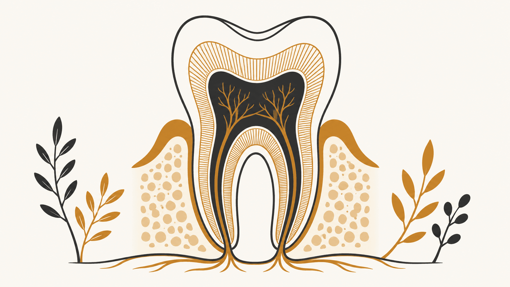 What to Expect During a Root Canal